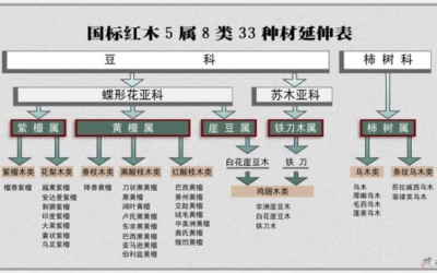 大红酸枝为什么会叫“老红木”？